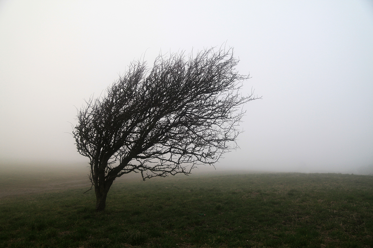 Seul dans la tempête et le brouillard