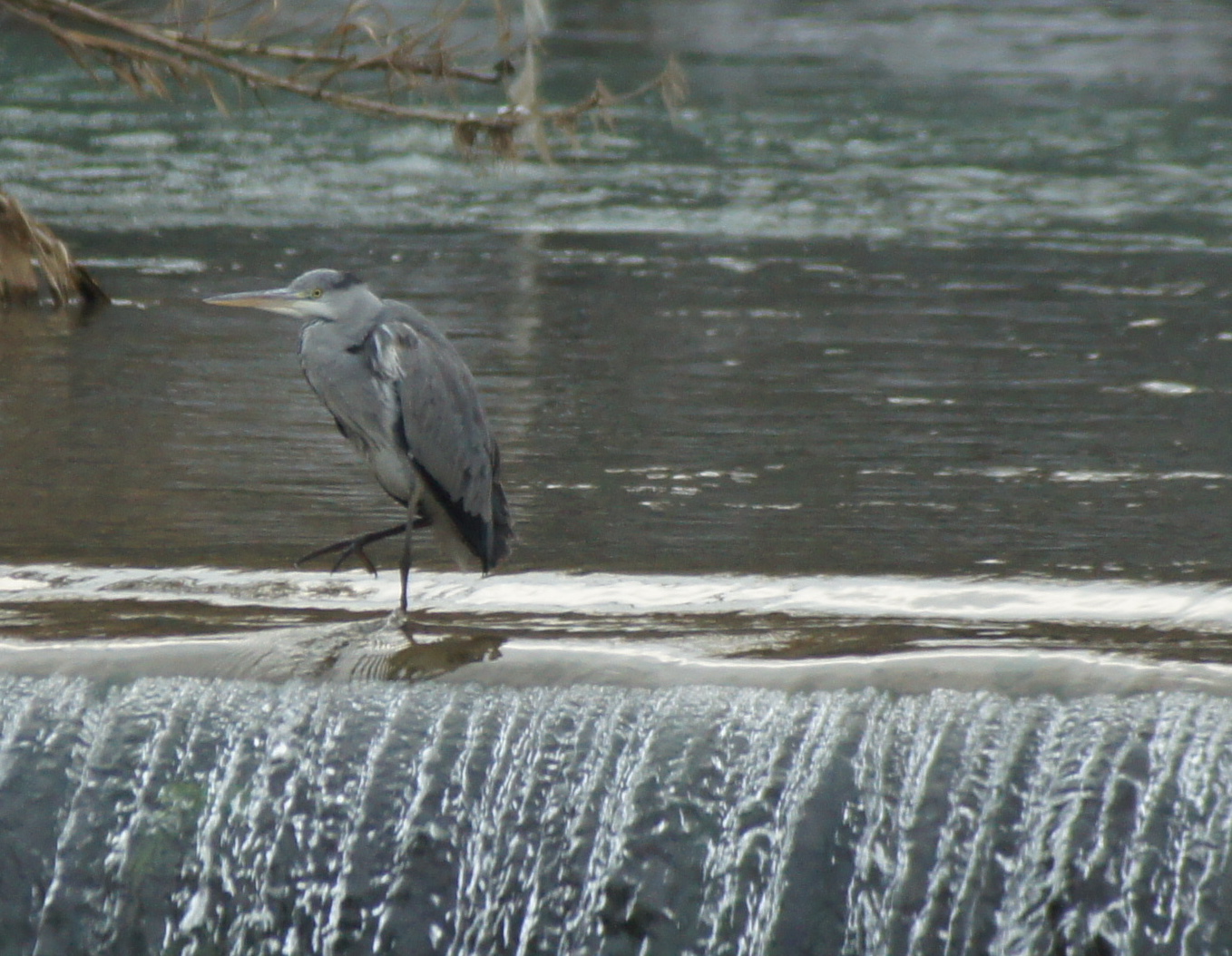 seul dans l'eau