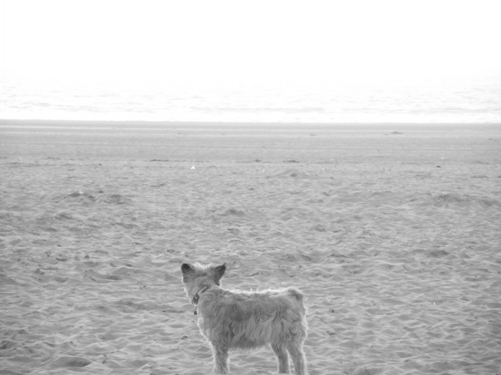 Seul face à l'immensité