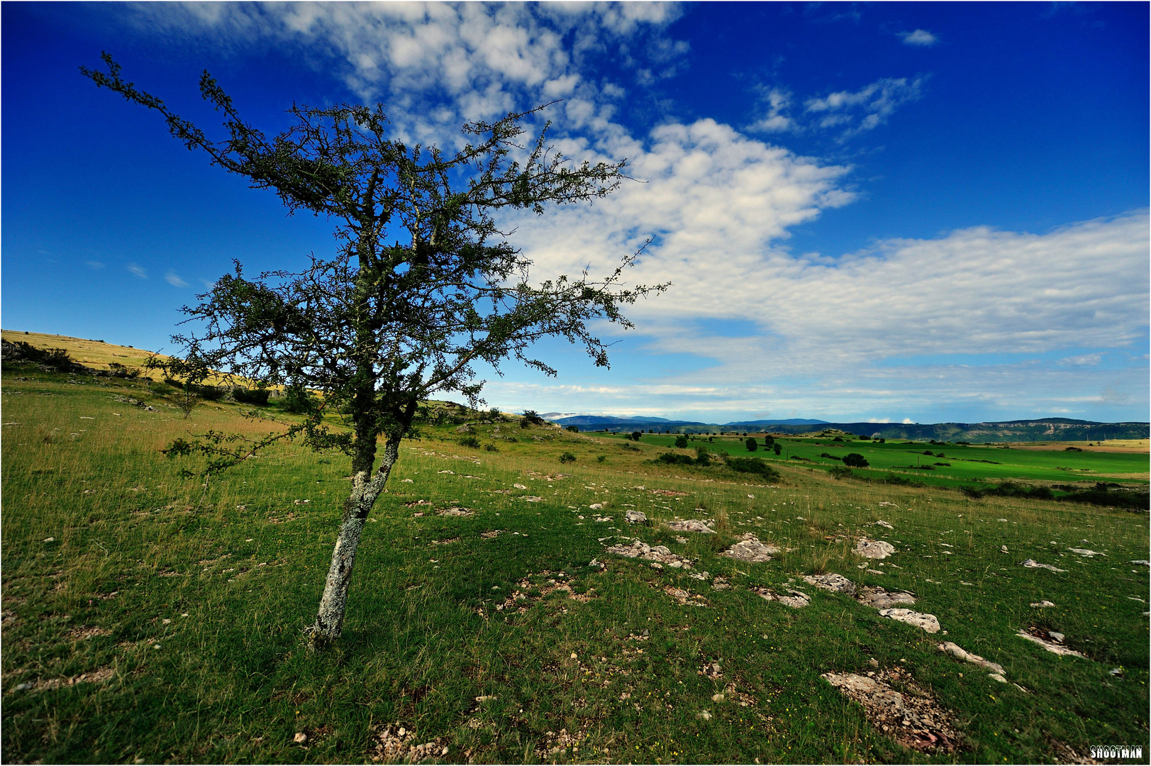 Seul sur le causse