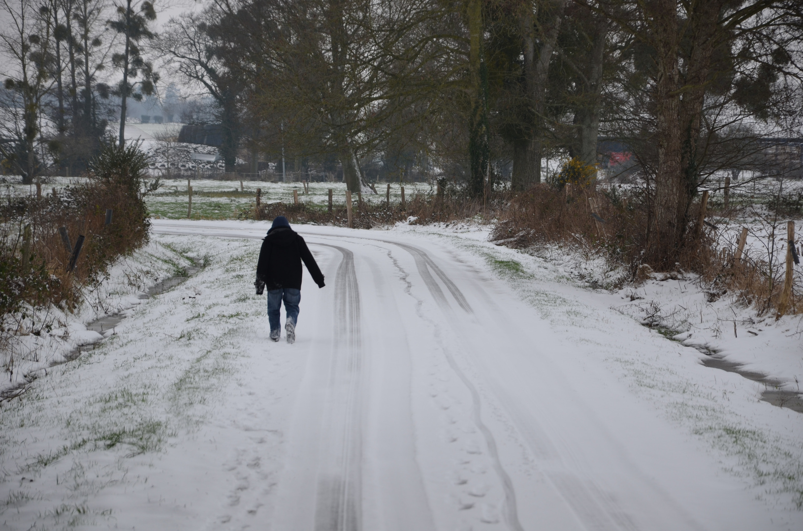 Seul sur le chemin blanc