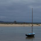 Seul sur le sable