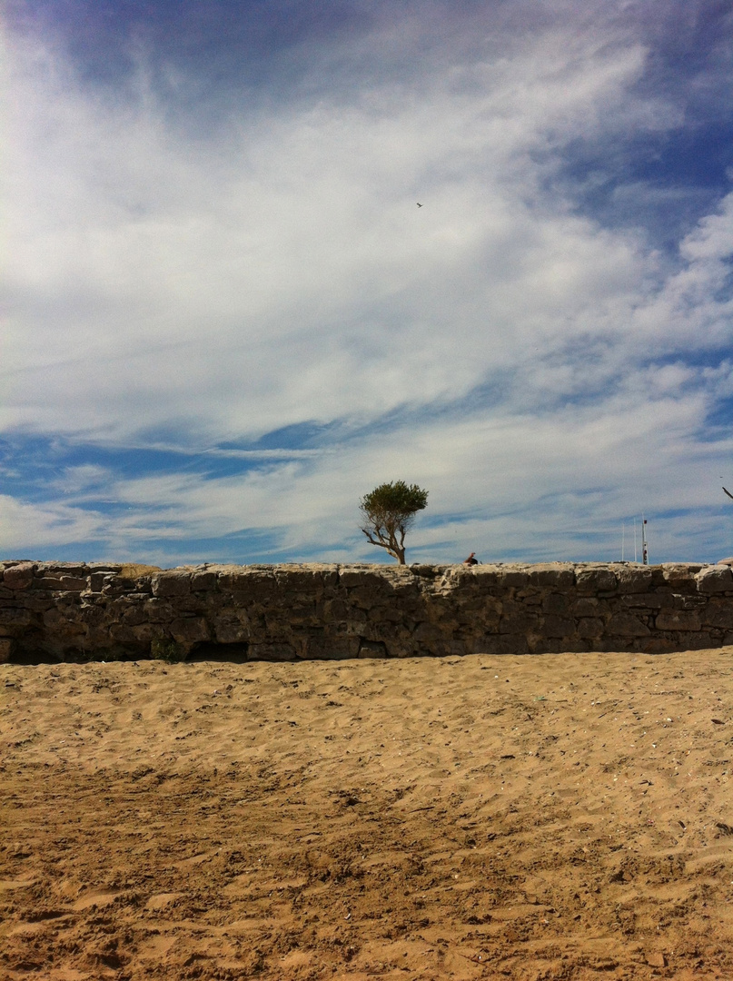 Seul sur le sable...