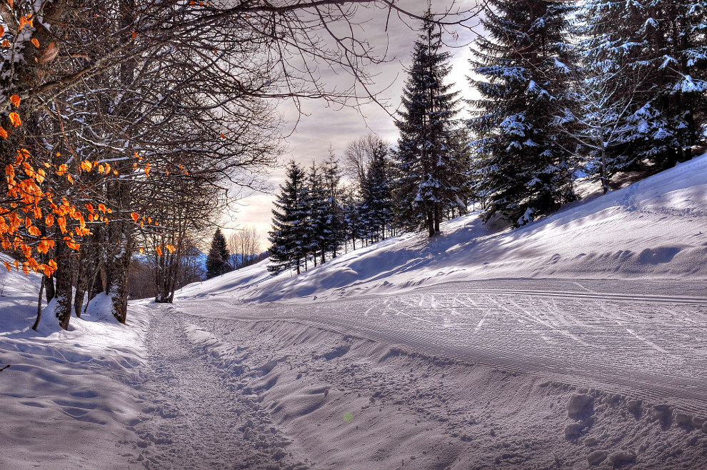 Seul sur les pistes