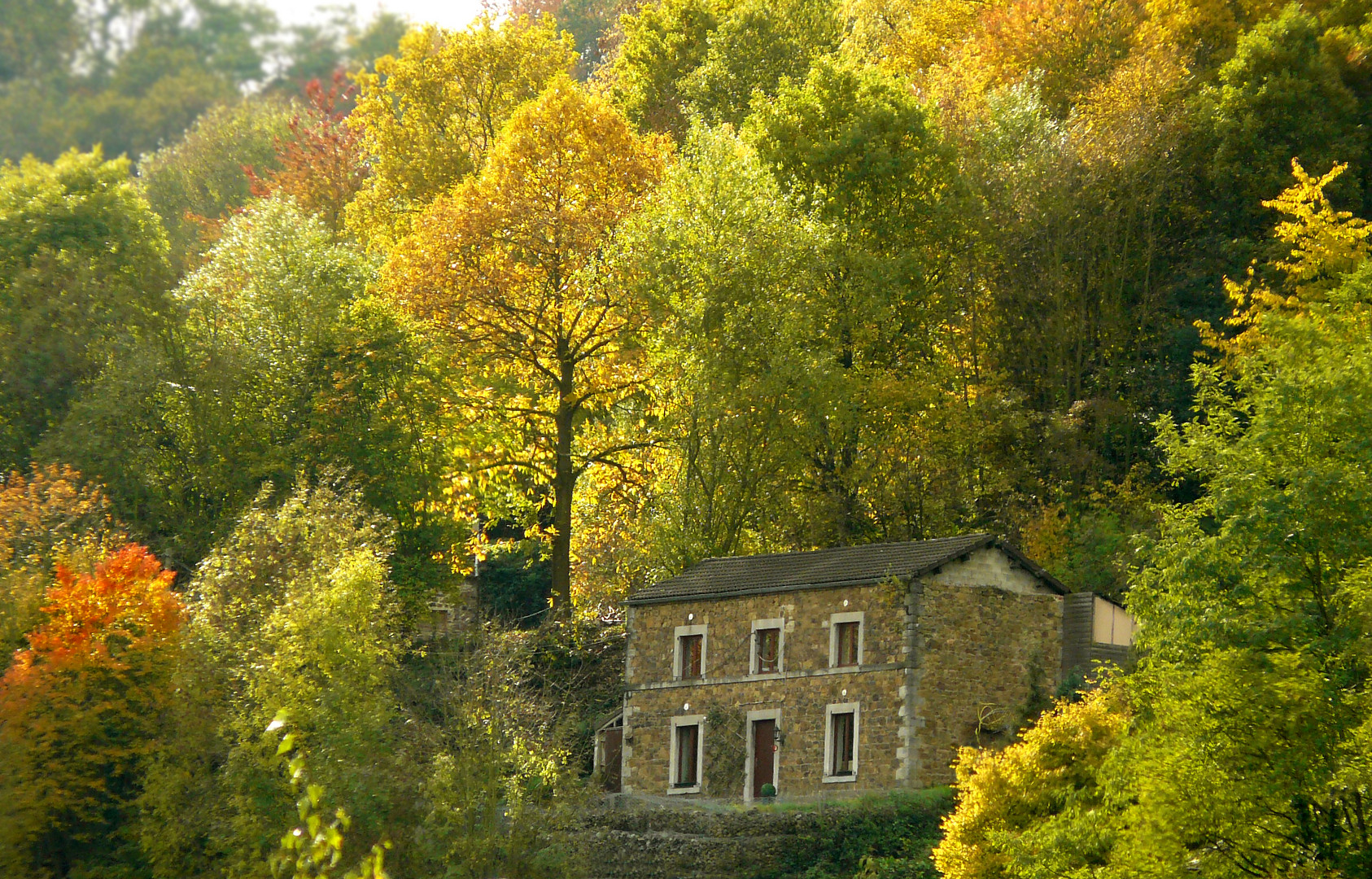 Seule dans l'automne