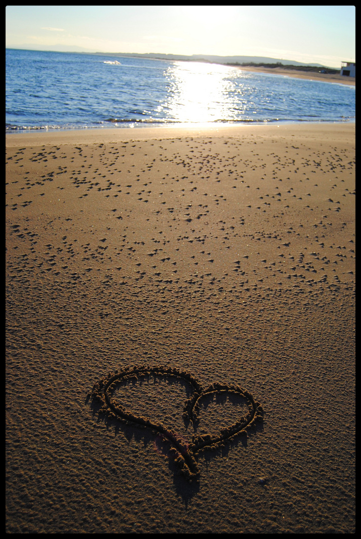 Seule sur la plage .......