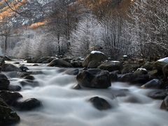 Seuls les rochers lui résistent