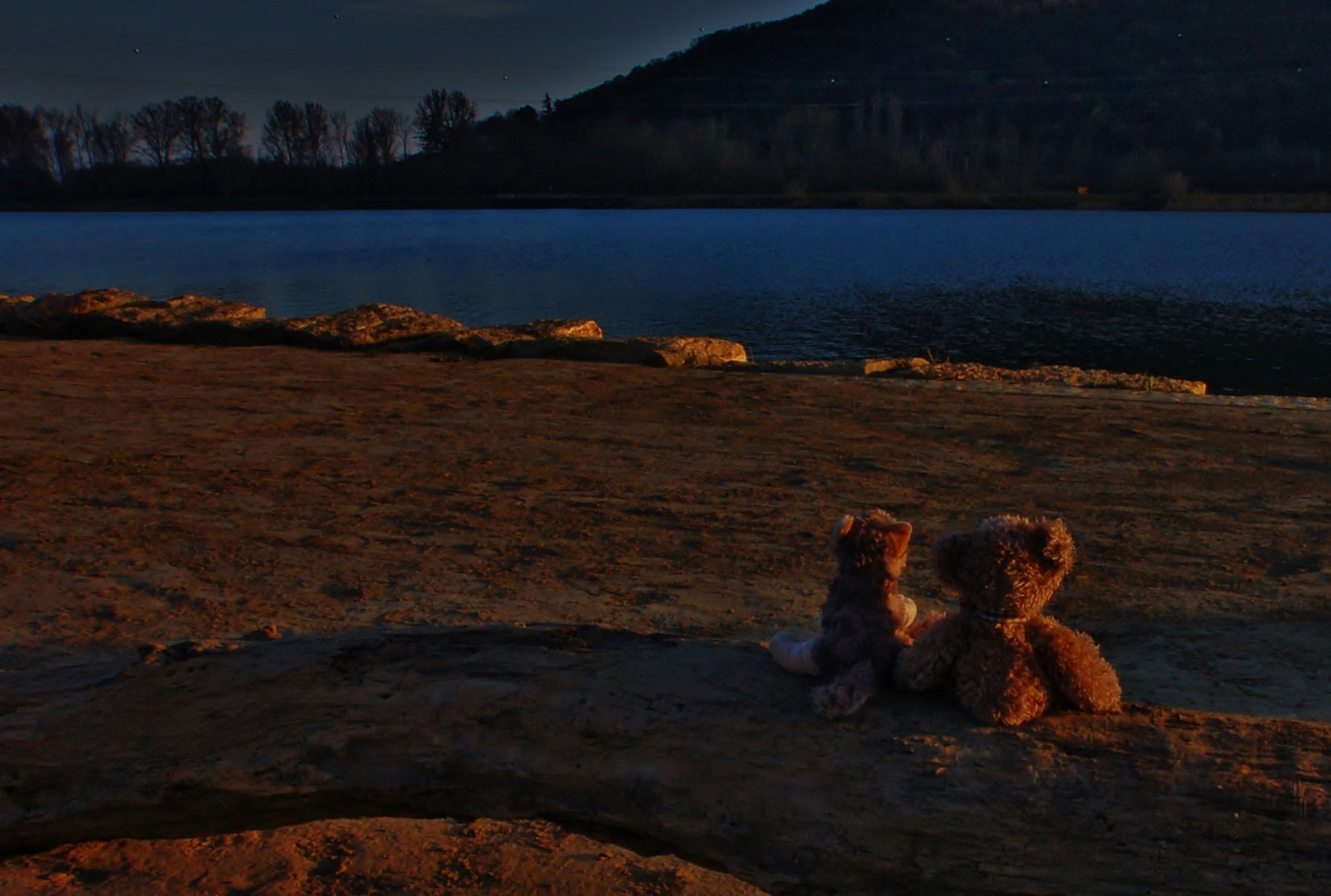 "Seuls sur le sable..."