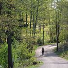 Seurasaari in Spring