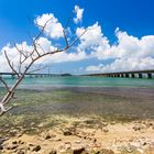 Seven Mile Bridges