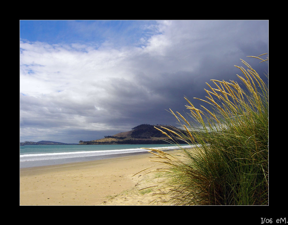 "seven miles beach"