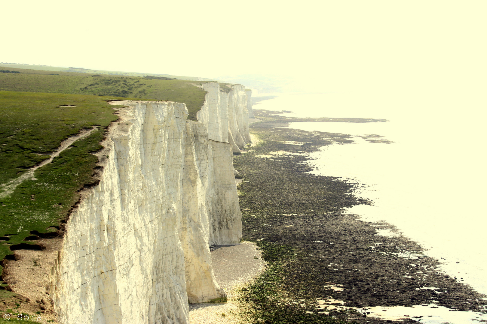 seven sisters