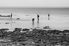 seven sisters221_