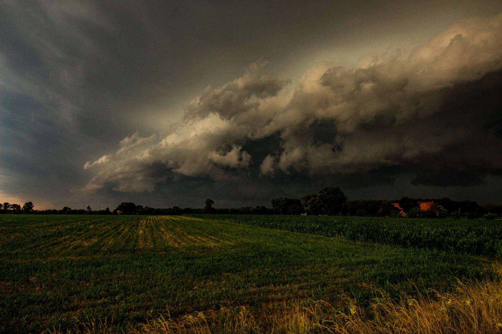 Severe Storm