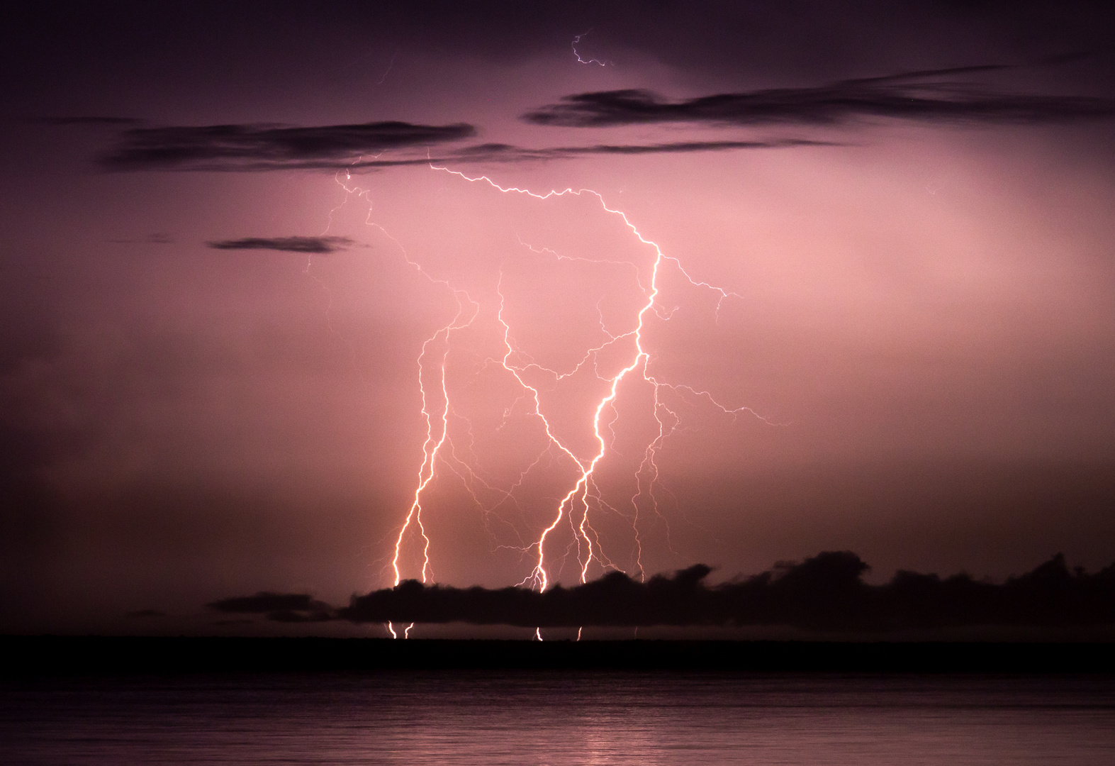 Severe Thunderstorm