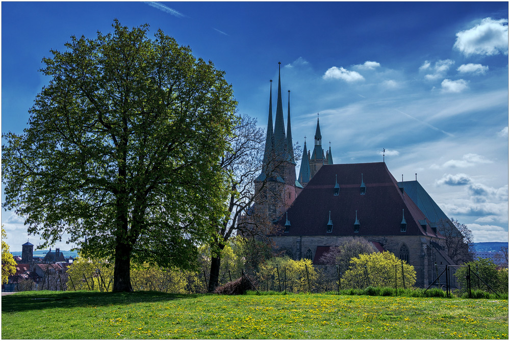 ~ Severi und Dom in Erfurt ~