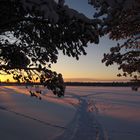 Sevettijärvi; Finnland - Mittagsonne 