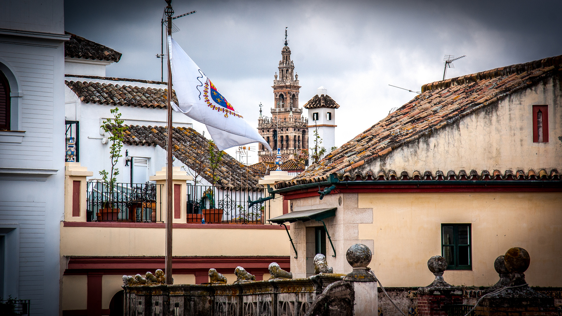 Sevila, La Giralda desde la terraza de la Casa de Pilatos.