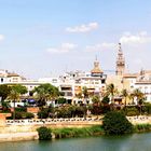 Sevilla 4