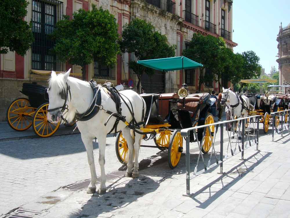 SEVILLA A CABALLO