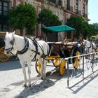 SEVILLA A CABALLO