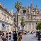 Sevilla Andalusien_im Hintergrund die Kathedrale