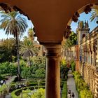 Sevilla: Blick in den Garten des Alcázar