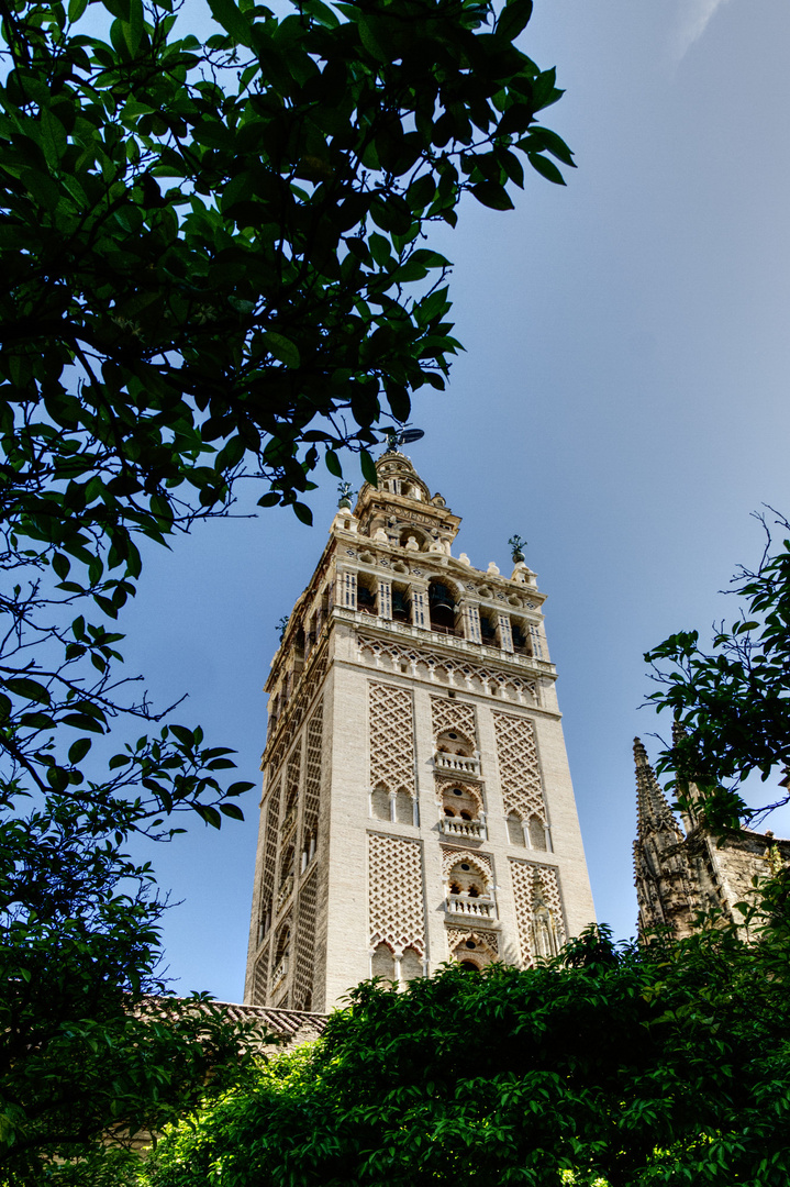 Sevilla Catedral_Giralda_3110