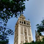 Sevilla Catedral_Giralda_3110