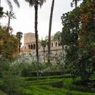 Sevilla Garten