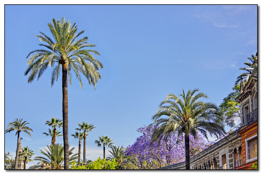 Sevilla, Garten des Alkazar