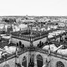 Sevilla Kathedrale_3135