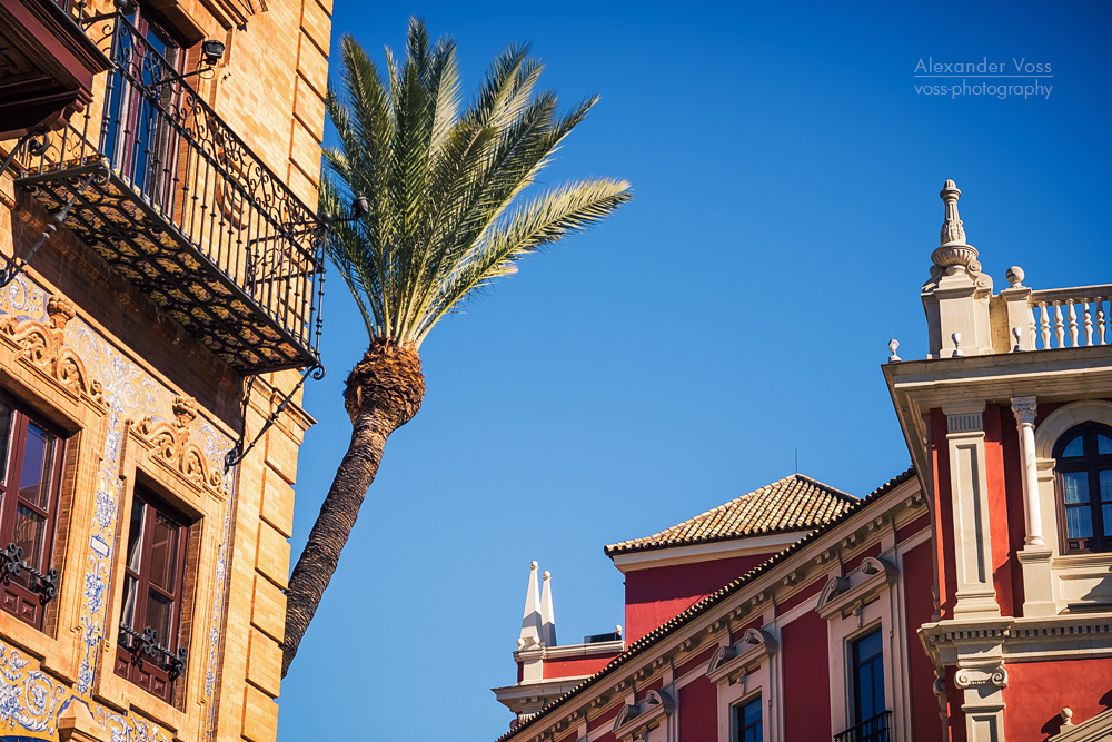 Sevilla - Plaza de San Francisco