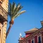 Sevilla - Plaza de San Francisco