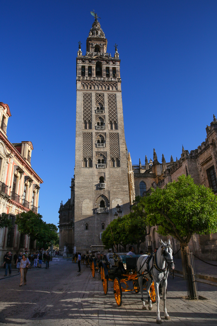Sevilla Turm der Kathedrale mit Pferd