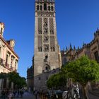 Sevilla Turm der Kathedrale mit Pferd