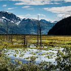 Sewardhwy, Anchrage, Alaska DSC_0834