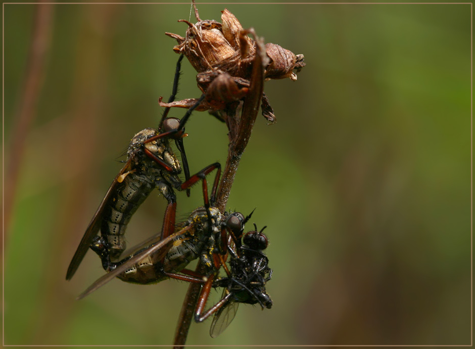 Sex In Der Mittagspause Sex In Der Mittagspause