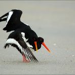 Sex on the beach