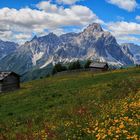 Sextener Dolomiten im Juni...