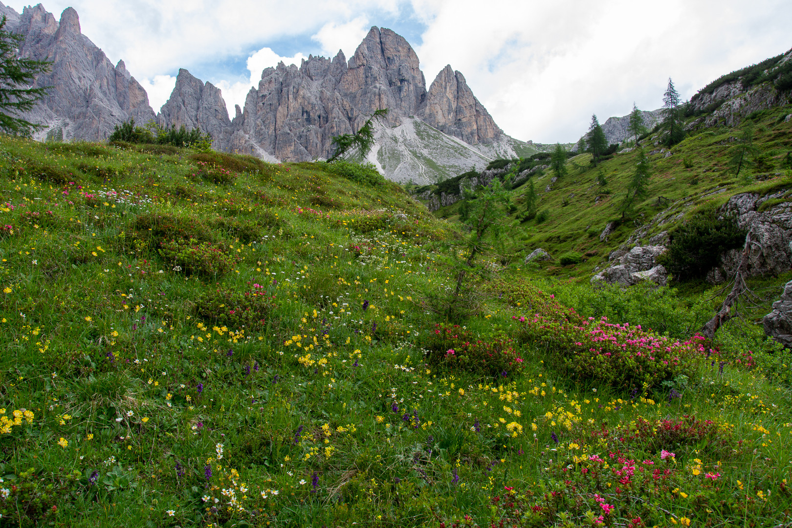 Sextener Dolomiten Sommer