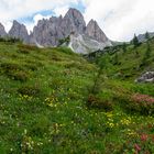 Sextener Dolomiten Sommer