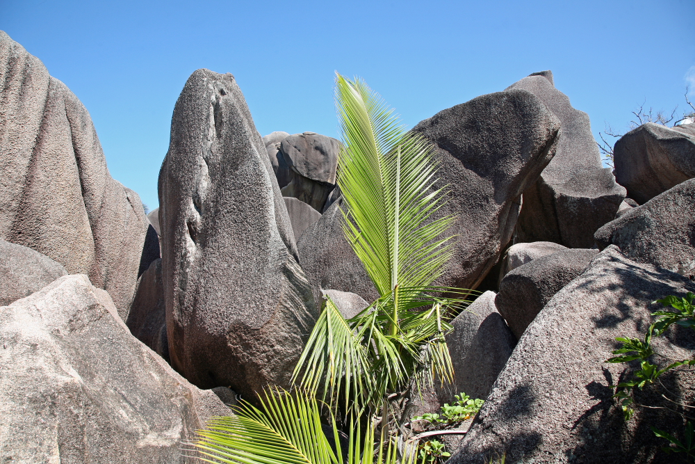 Seychellen 1