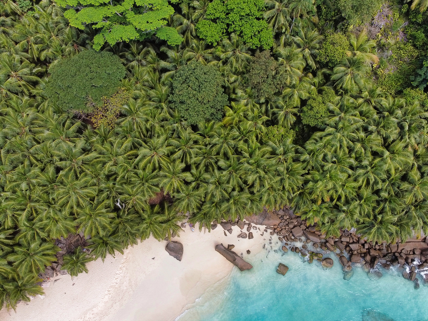 Seychellen Anse Royal