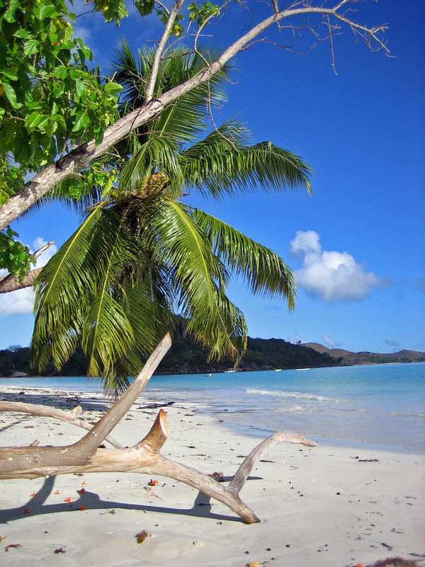 Seychellen - Anse Volbert