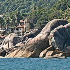 SEYCHELLEN AUF KOHSAMUI 1