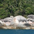 SEYCHELLEN AUF KOHSAMUI 2