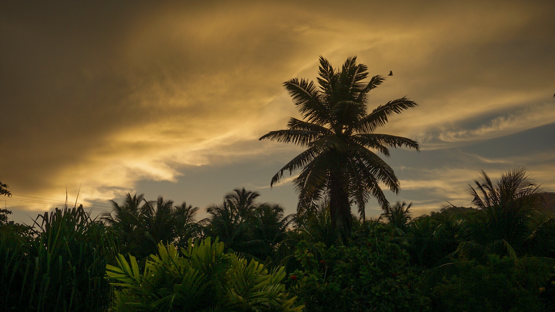 Seychellen