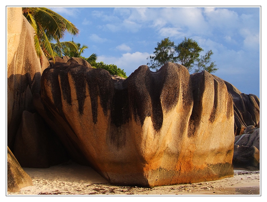 Seychellen eben... (II)