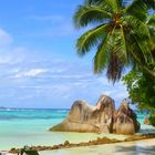 Seychellen / Farbenspiele auf La Digue / Indischer Ozean